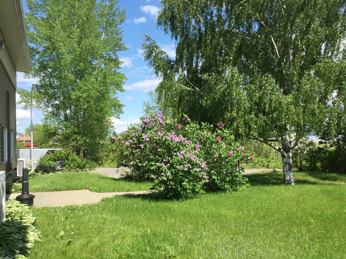 Motel Et Condo Chez Charley Sainte-Anne-de-Beaupré Kültér fotó